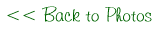 backtophotos.gif (4303 bytes)